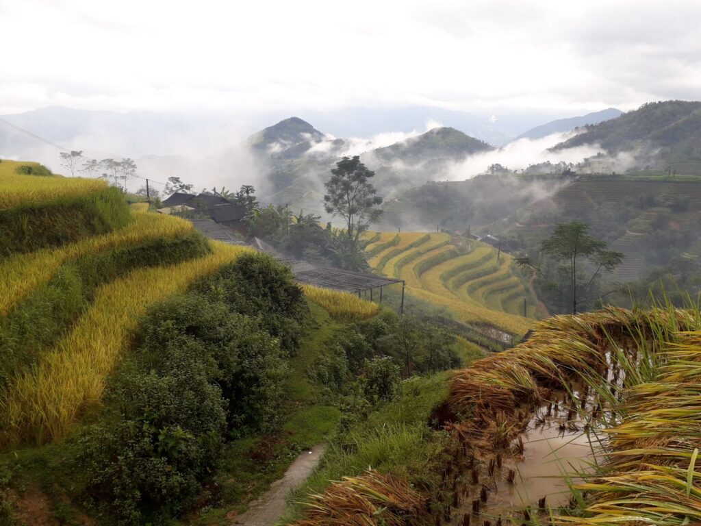 Hidden Trails of Hoang Su Phi : 4-Day Authentic Trek & Ethnic Homestays in Ha Giang