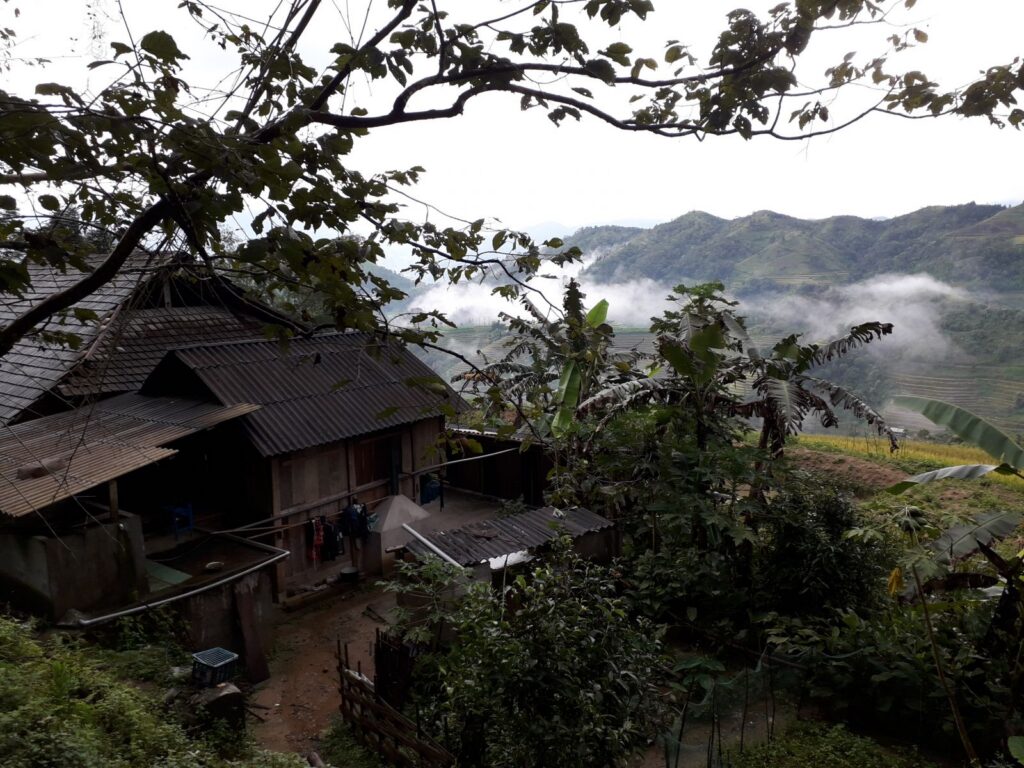 Hidden Trails of Hoang Su Phi : 4-Day Authentic Trek & Ethnic Homestays in Ha Giang