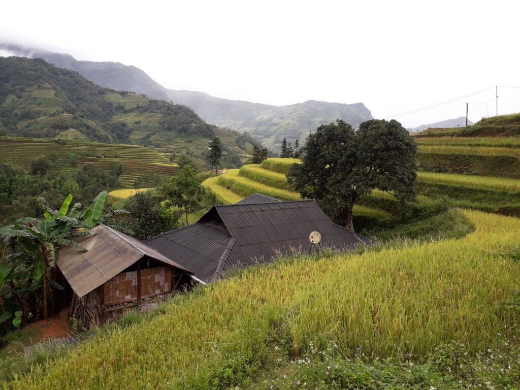Epic Northern Vietnam Trek : 4-Day Adventure to Hoang Su Phi, Bac Ha Market & Sapa
