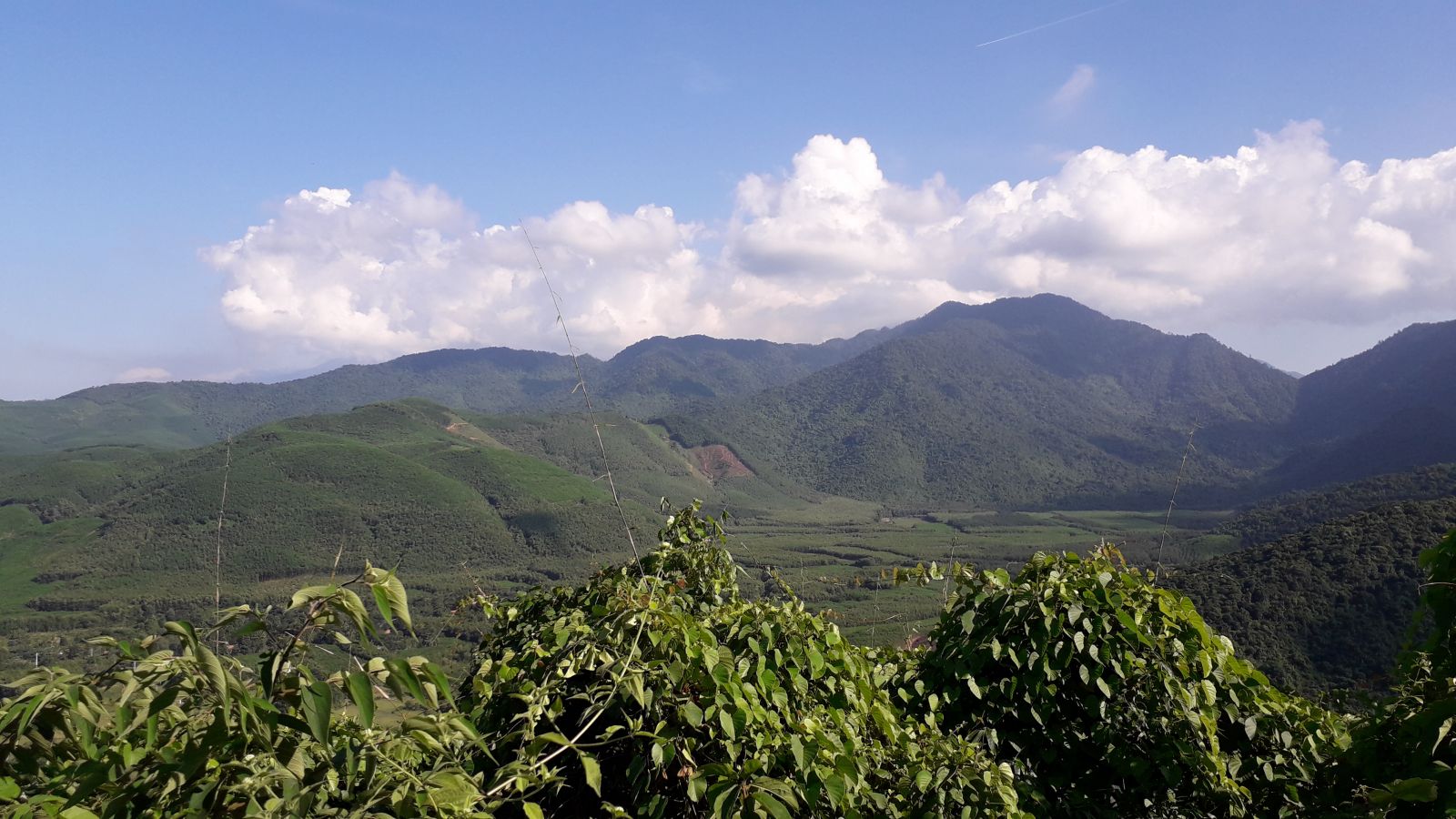 The stunning view from Bach Ma mountain