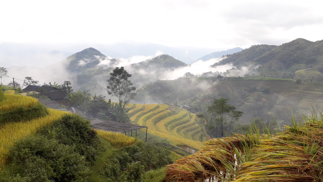 Ban Luoc village Hoang Su Phi
