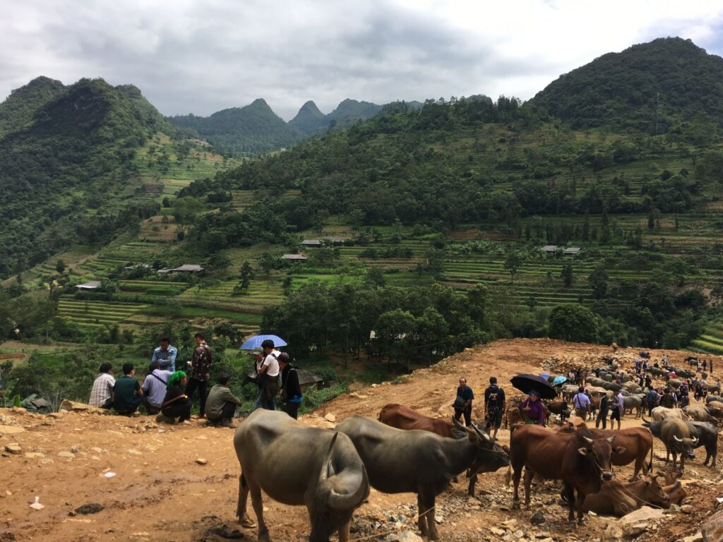 Northwest Vietnam Adventure : 5-Day Trip to Bac Ha Market, Sapa & Mu Cang Chai