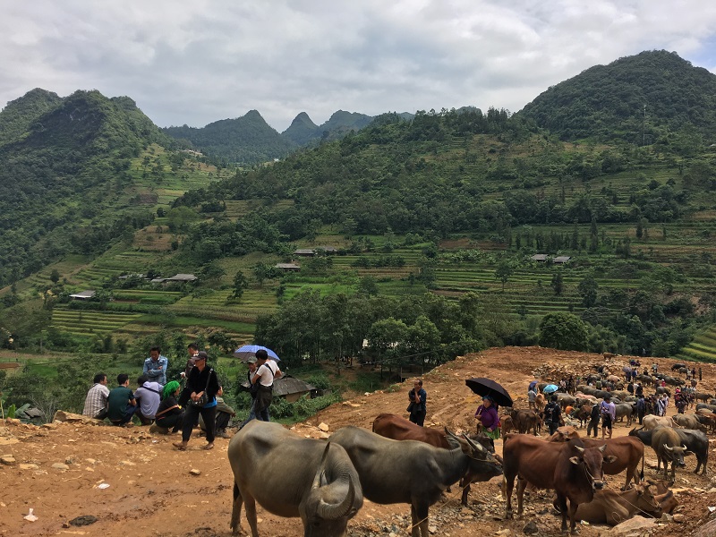 Can Cau market around Sapa & Bac Ha