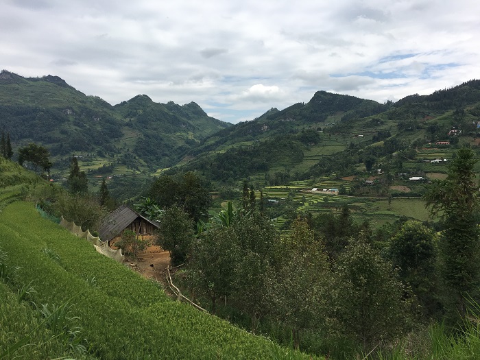 Can Cau market- Sapa5