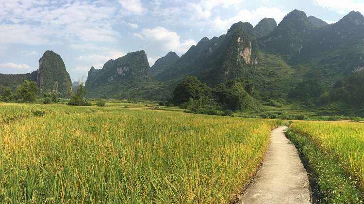 Mountain landscapes in Cao Bang