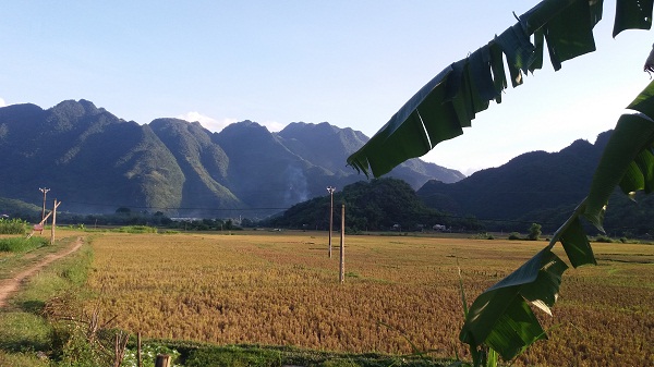 car rental to Pu Luong -Mai Chau mountain