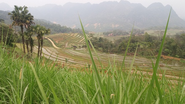 car rental to Pu Luong-view