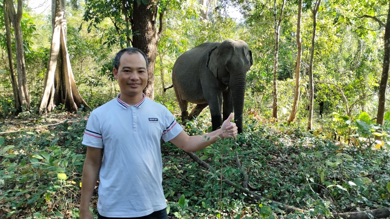 Elephant watching at Yok Don