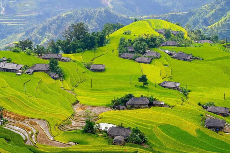 Ha Giang rice terraces - things to do in Vietnam