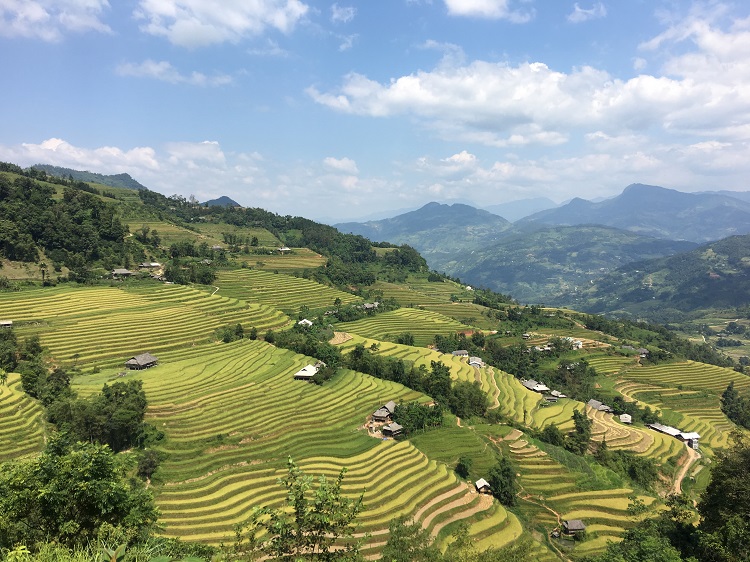 nam Ai rice terraces