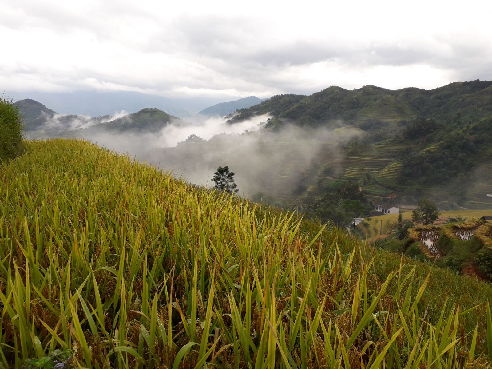 Treks mountains