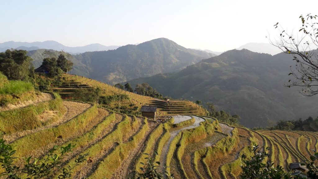 Hidden Trails of Hoang Su Phi : 4-Day Authentic Trek & Ethnic Homestays in Ha Giang