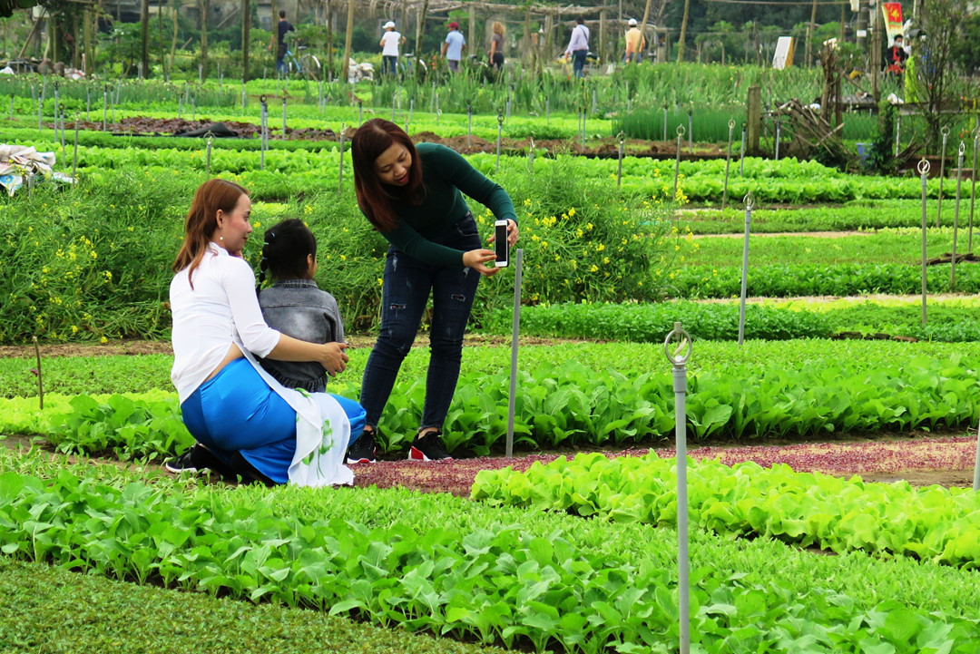 Tra Que vegetable village