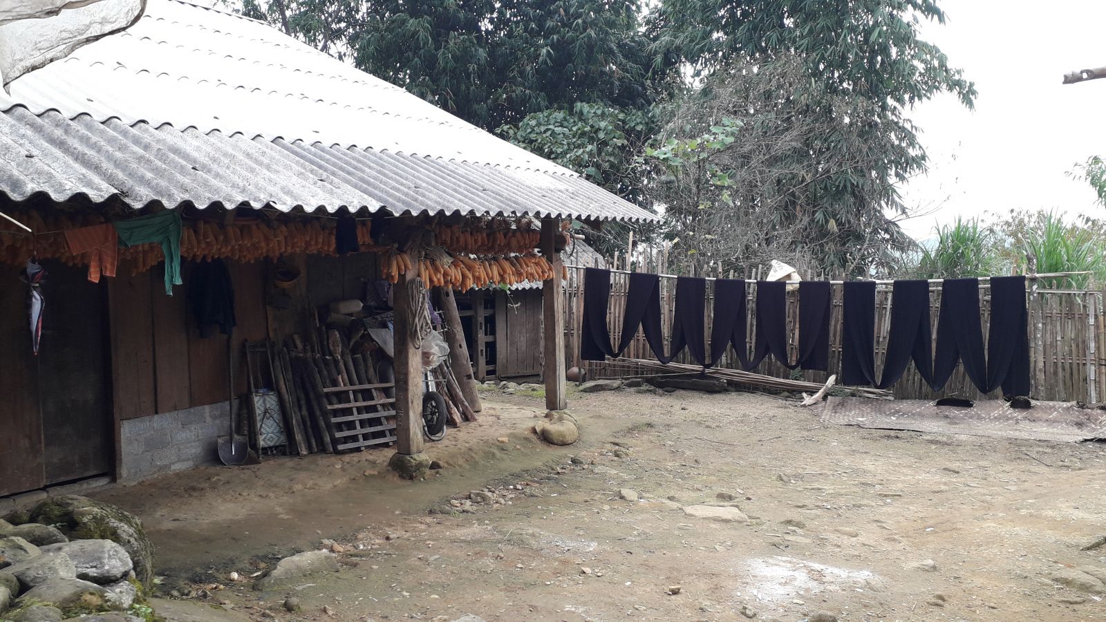 Ta Giang Phinh photos