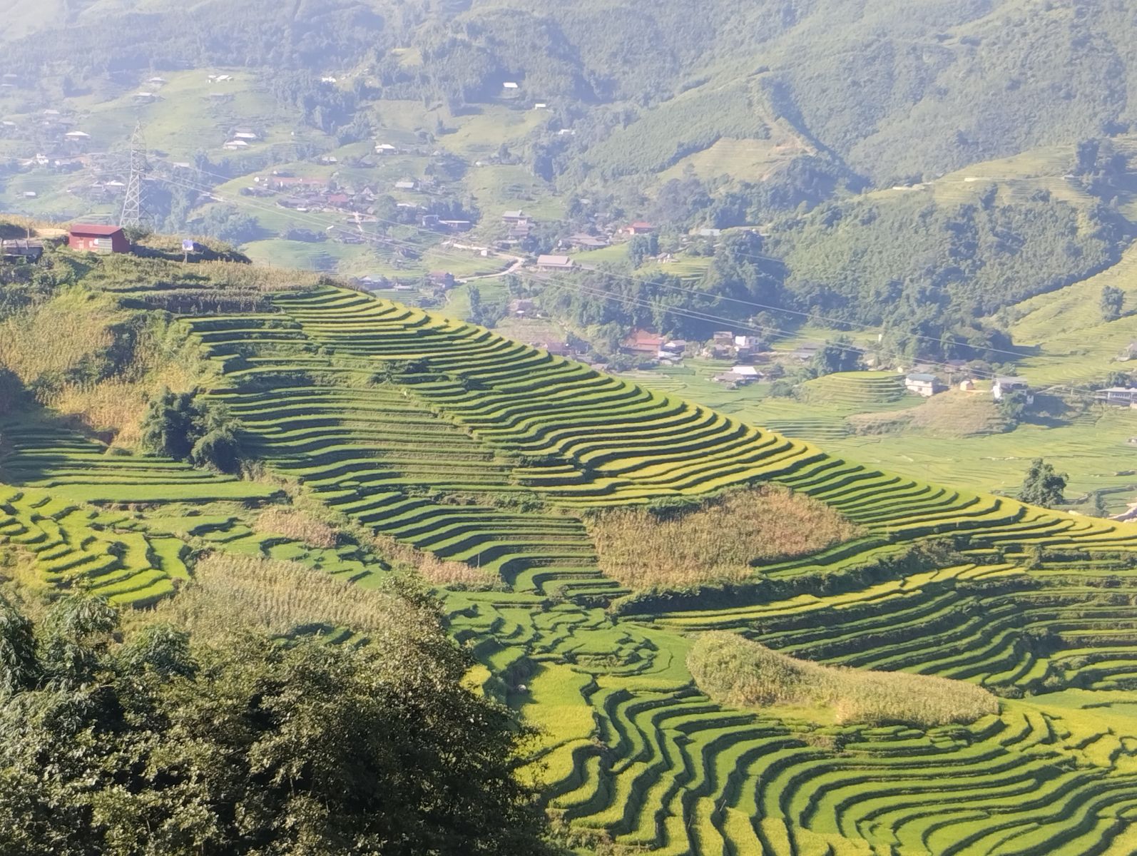 sapa muong hoa