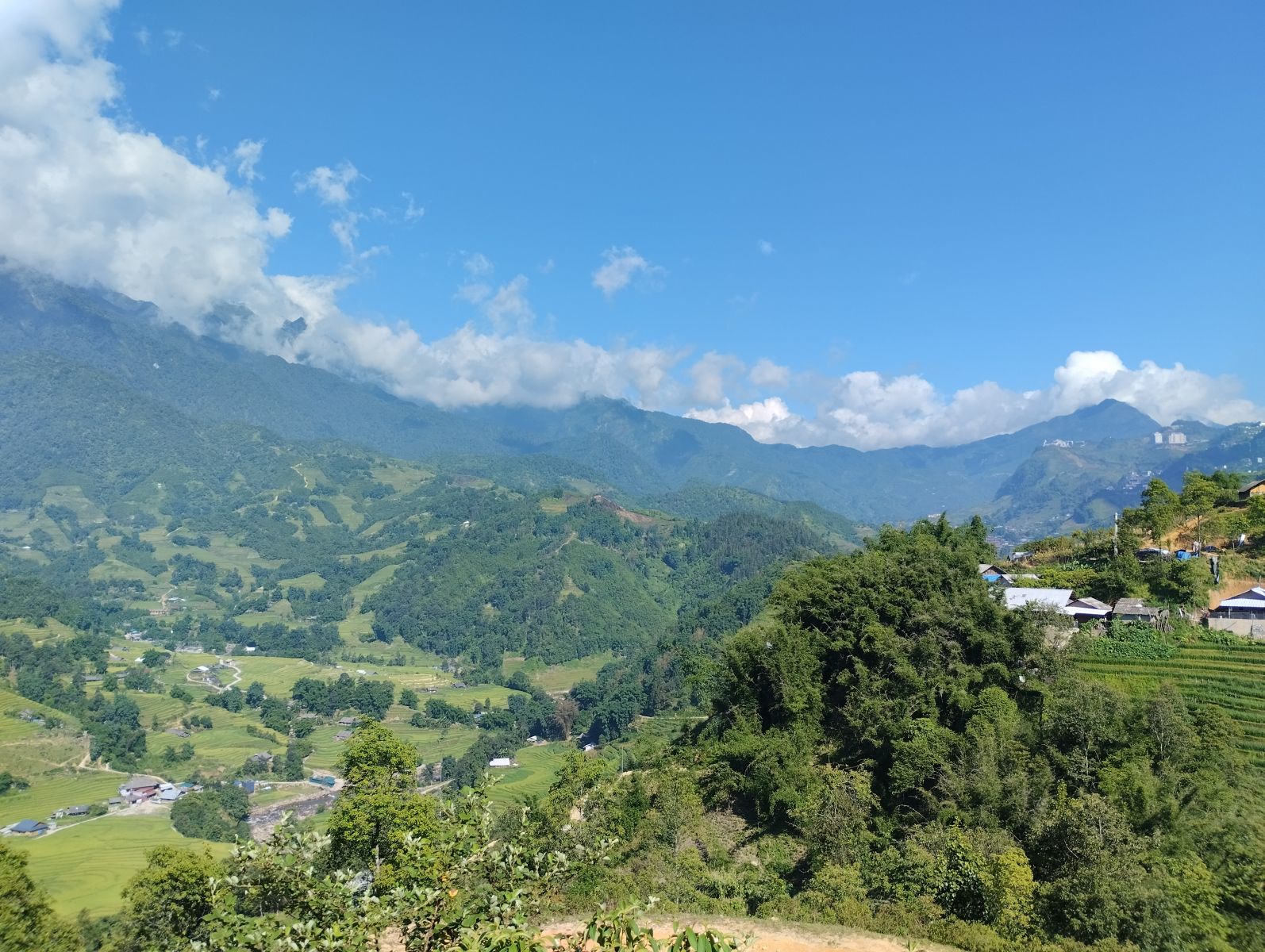 rice terrace sapa