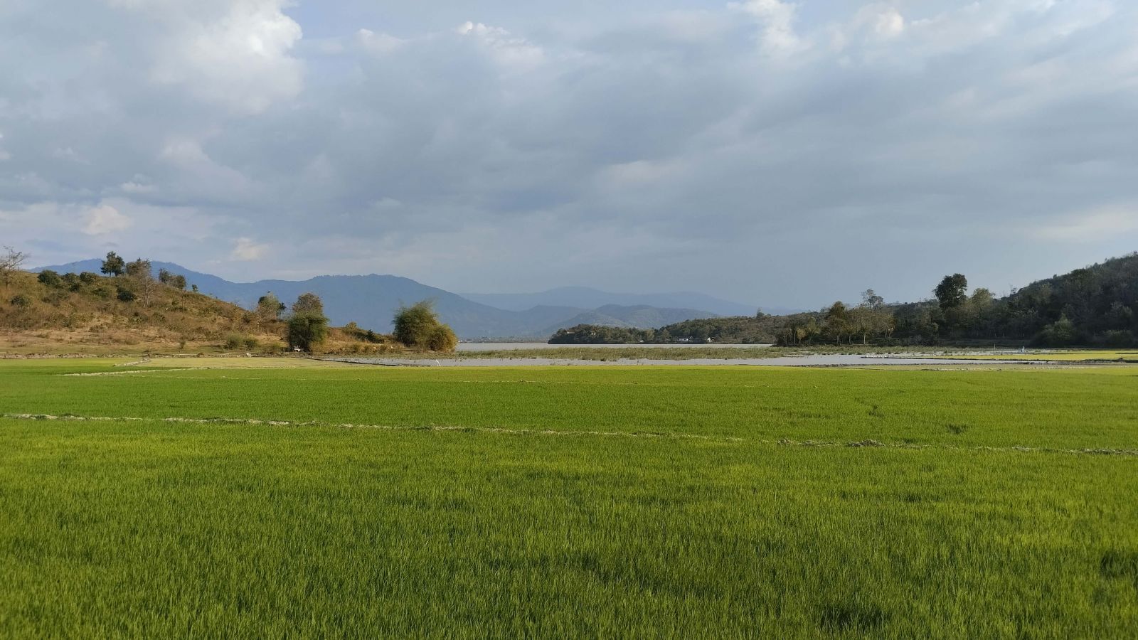 Lak lake - the view along the bank