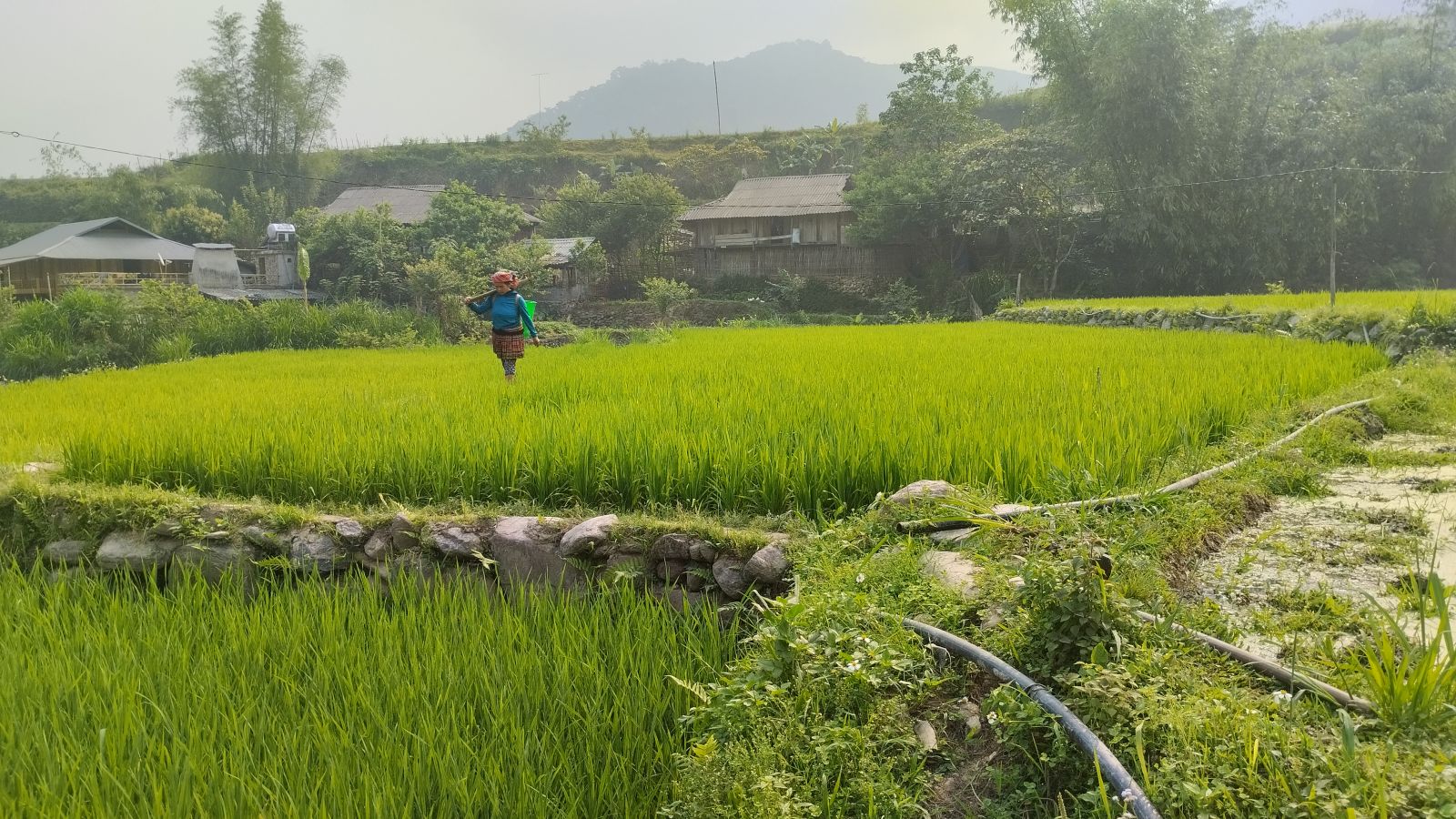 Mountain Peace & tranquility