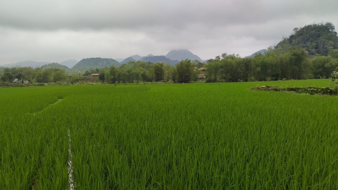 Kho Muong villag Pu Luong