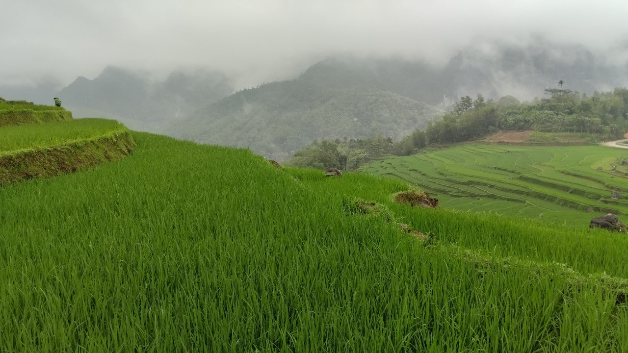 Pu Luong landscapes