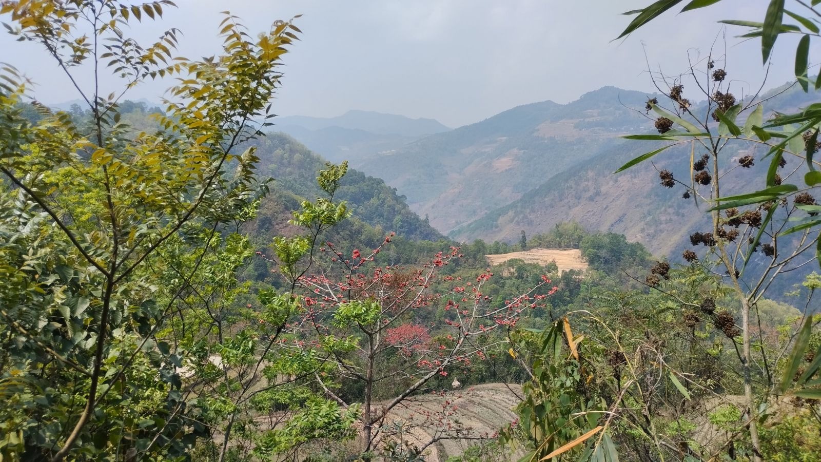 Thien Hương landscape