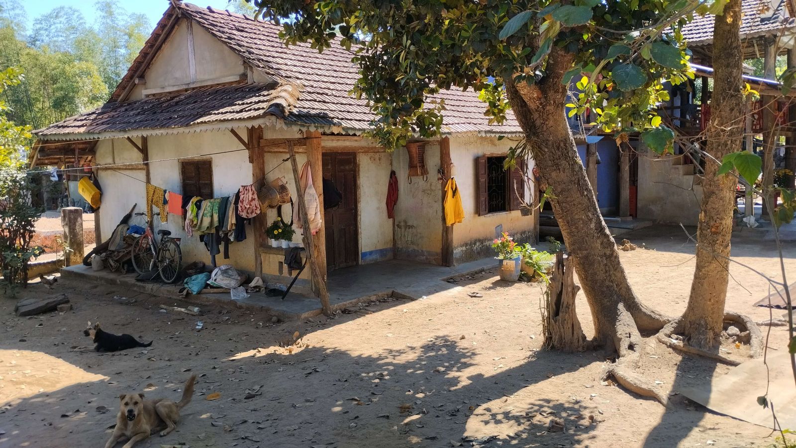Local family house