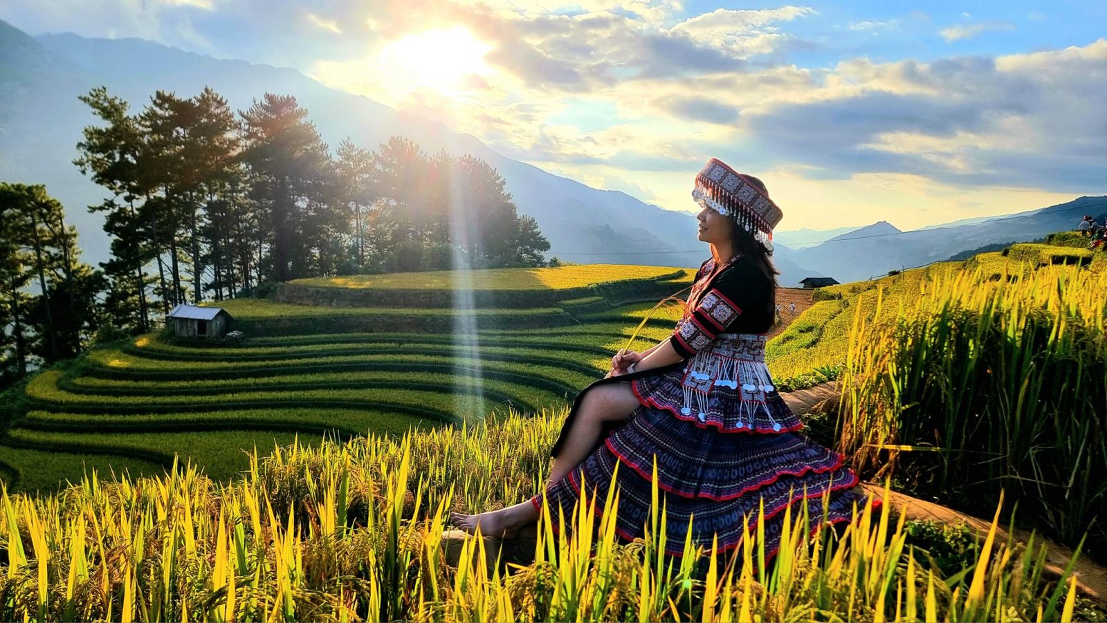 Rice terrrace in La Pan Tan