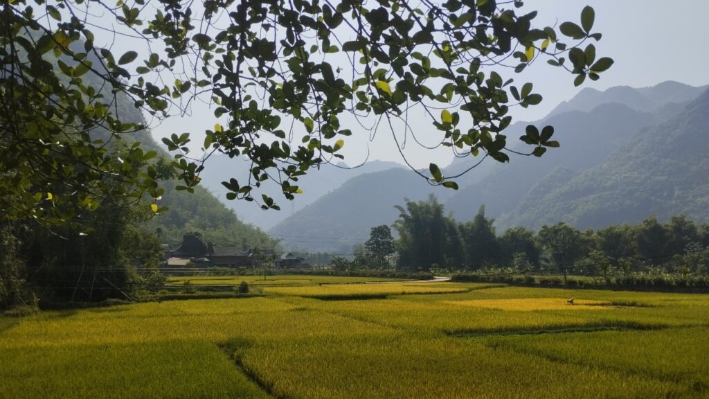Escape to Mai Chau: 2-Day Nature, Culture, Scenic Trekking & Biking Adventure