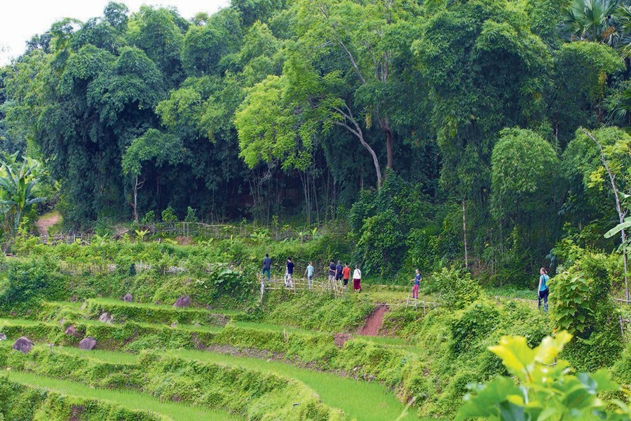 Hing trip around the village