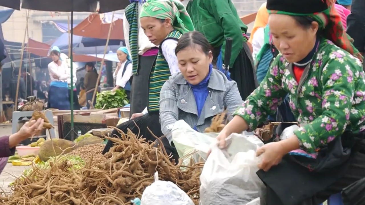 Hagiang destination- market