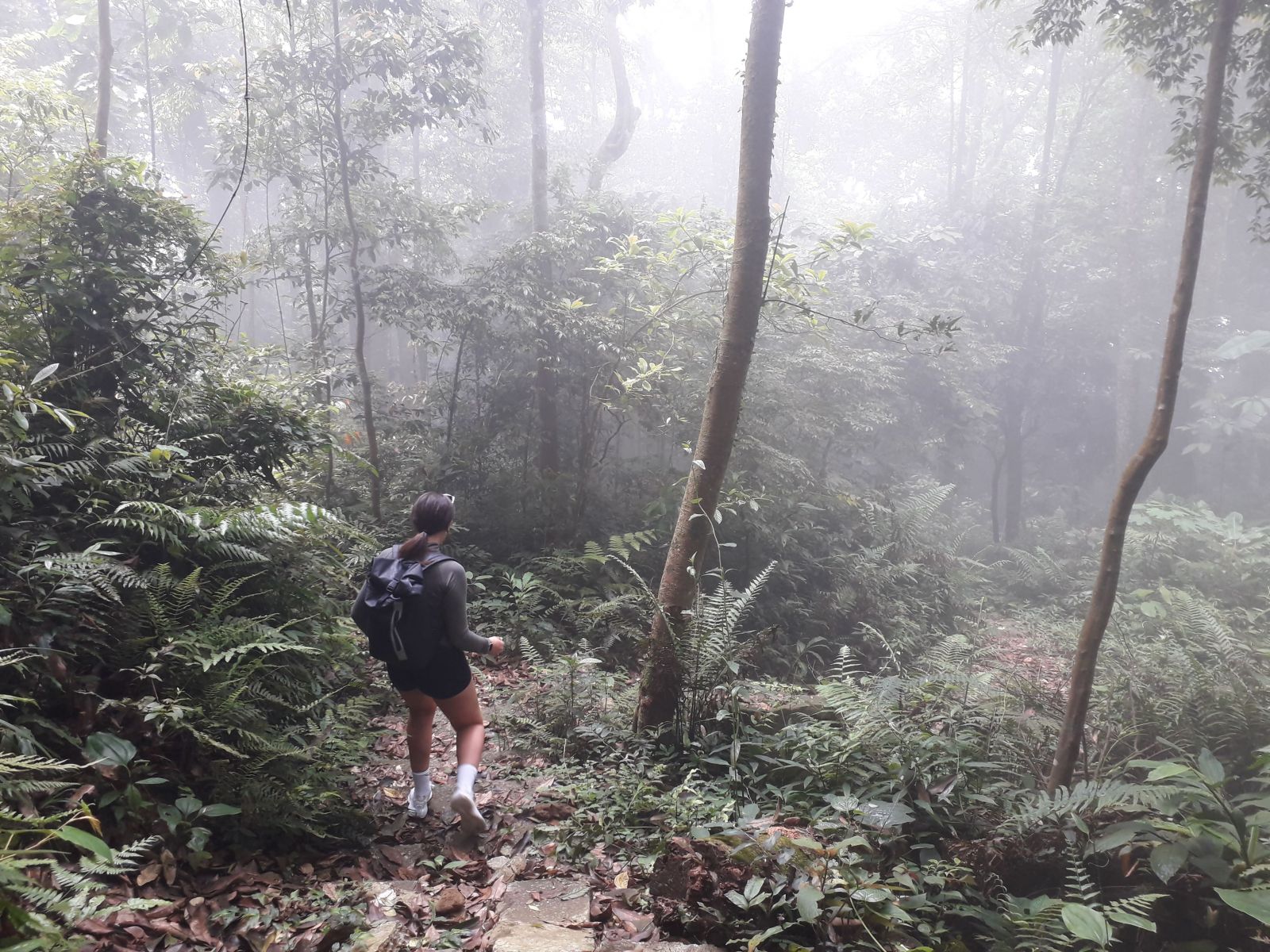 Ba Vi national park hiking