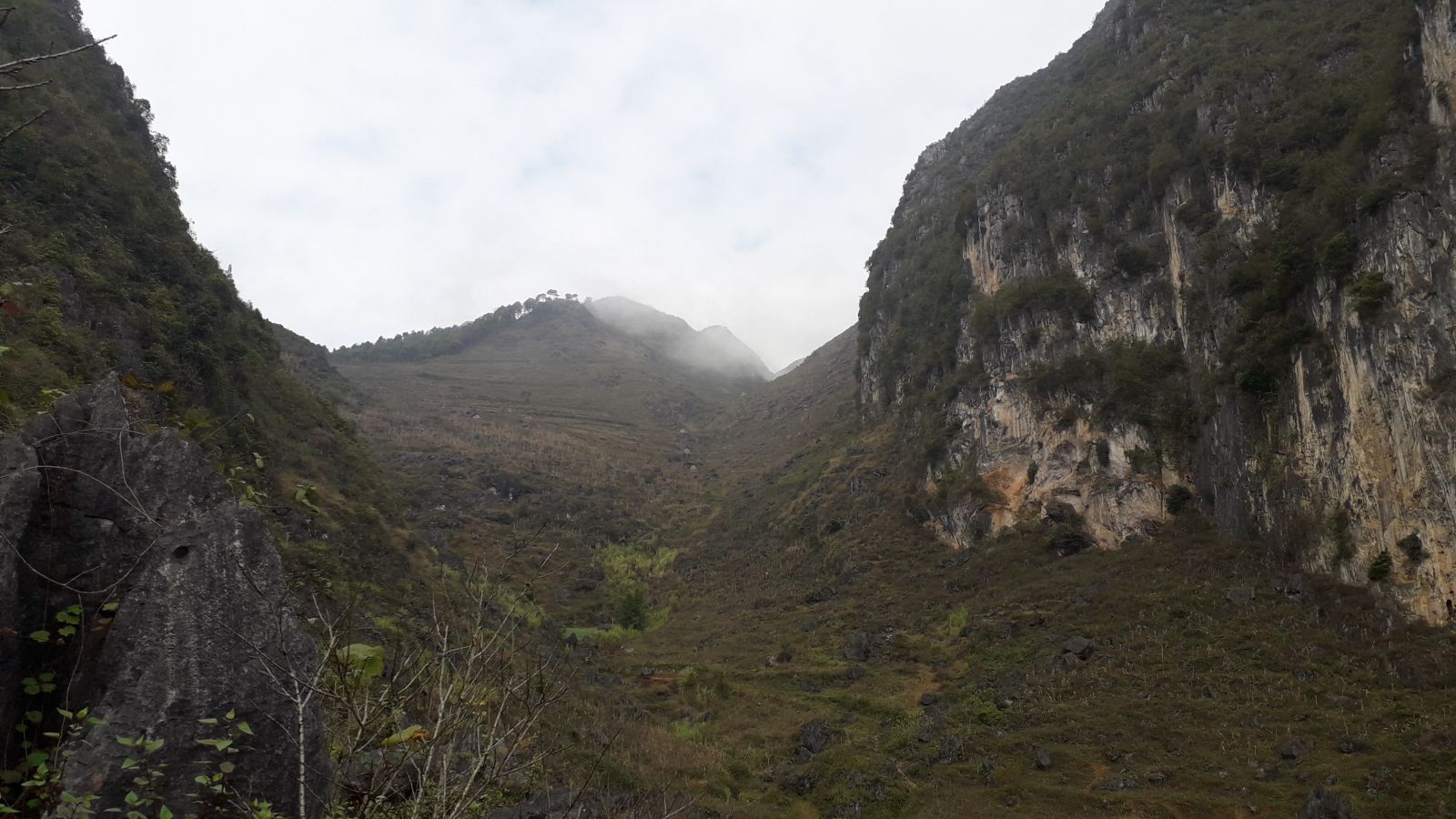 Mountain view