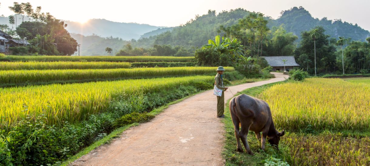 Mai Chau valley's pristine beauty
