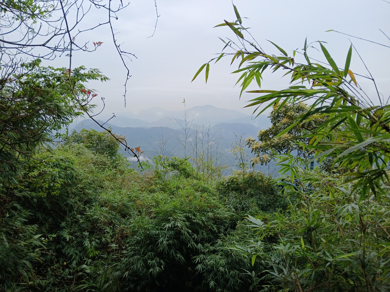 Yen Tu view