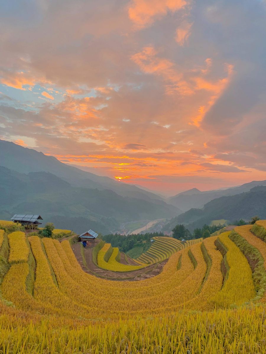 Rice terraces in Mu Cang Chai