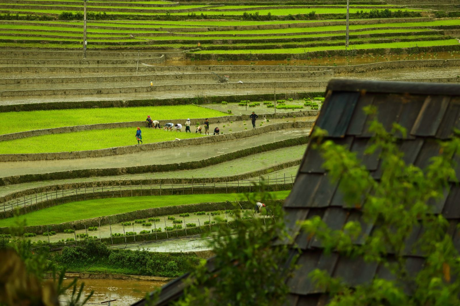 The view ddowwn from the ecolodge