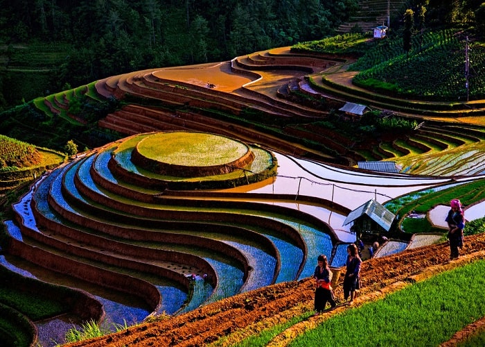 Mu Cang Chai rice terraces - falling water time