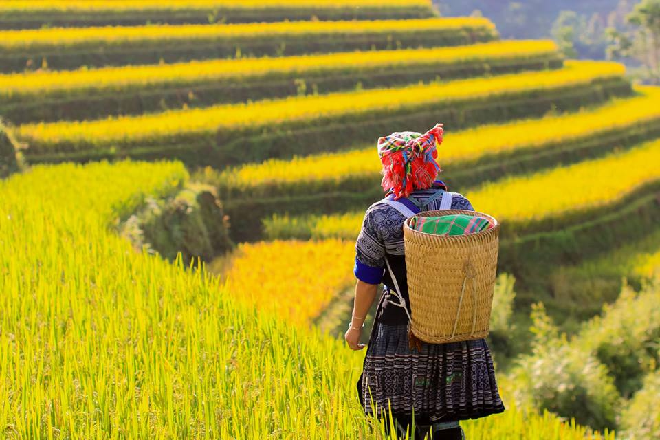 Trekking to local villages in Mu Cang Chai