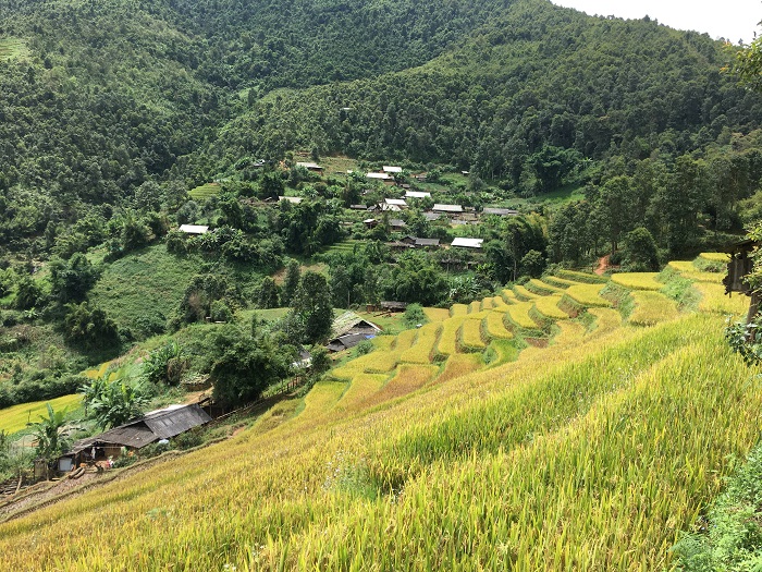 Mu Cang Chai landscapes