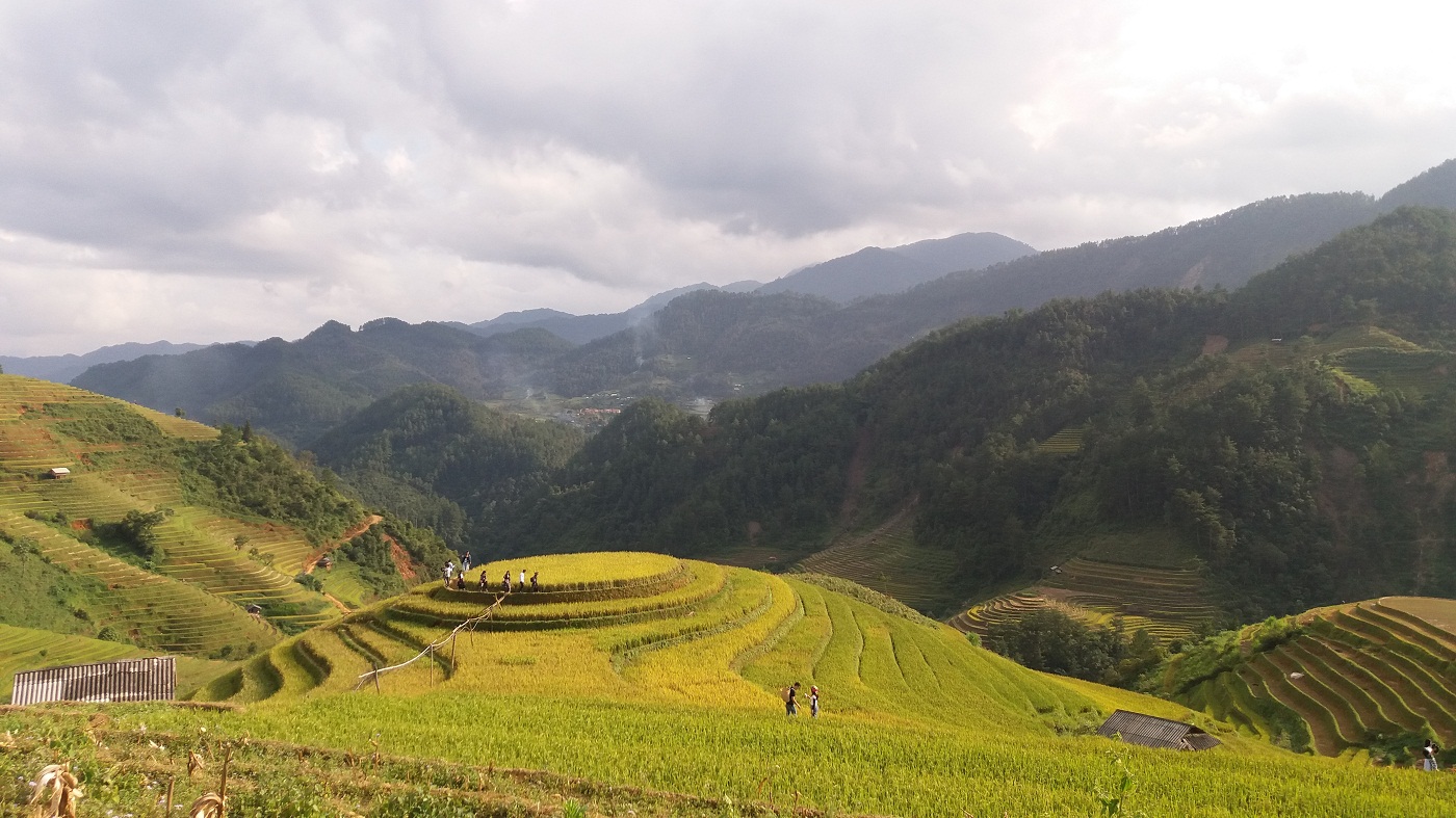 Rice terraces in Mu Cang Chai