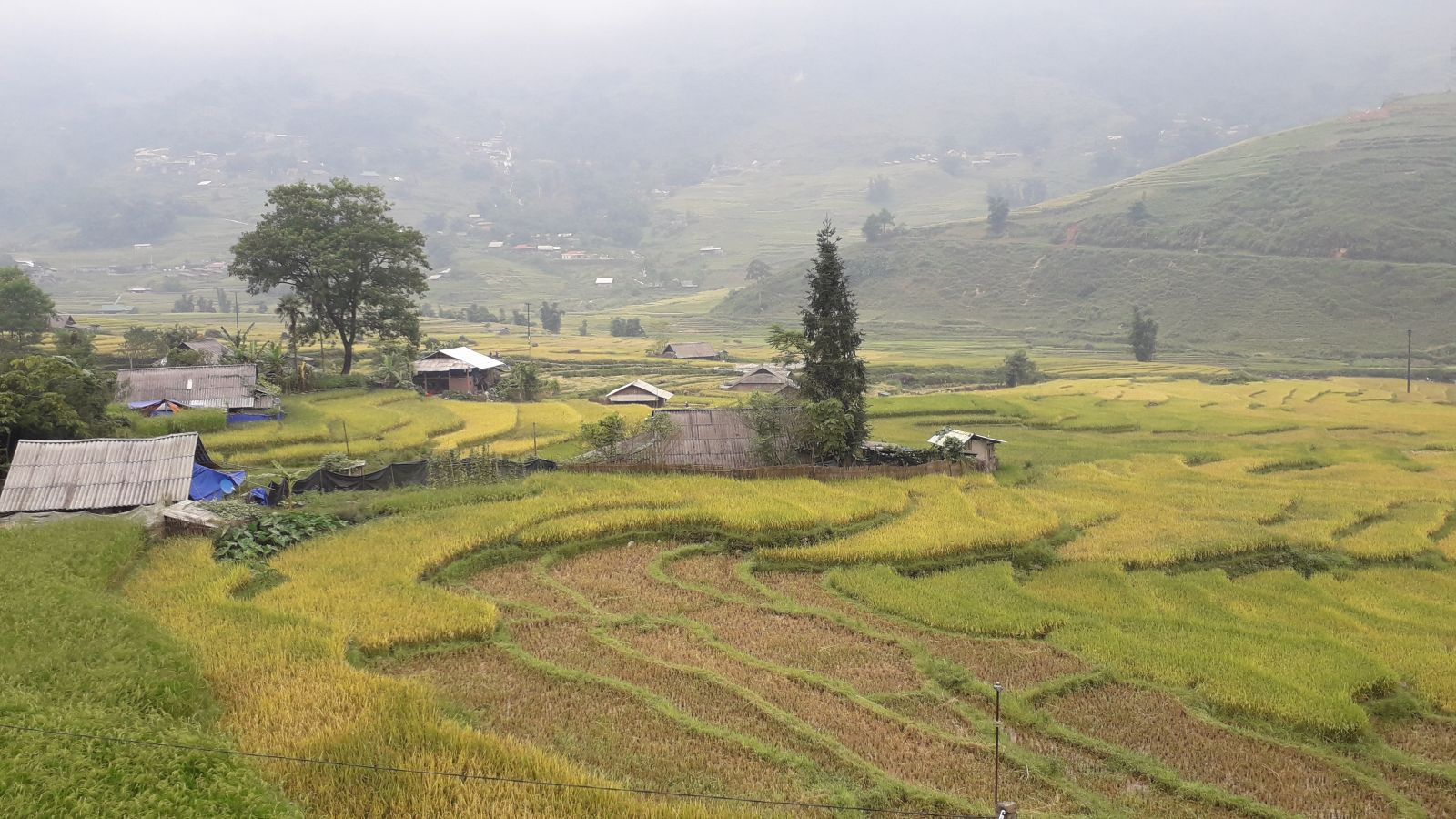 Muong Hoa valley- Sapa