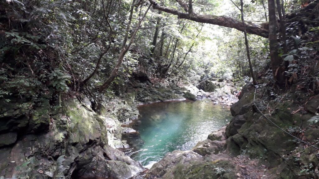 Discover Bach Ma National Park – A Refreshing Mountain & Jungle Getaway