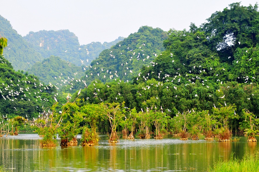 Thung Nham bird sanctuary