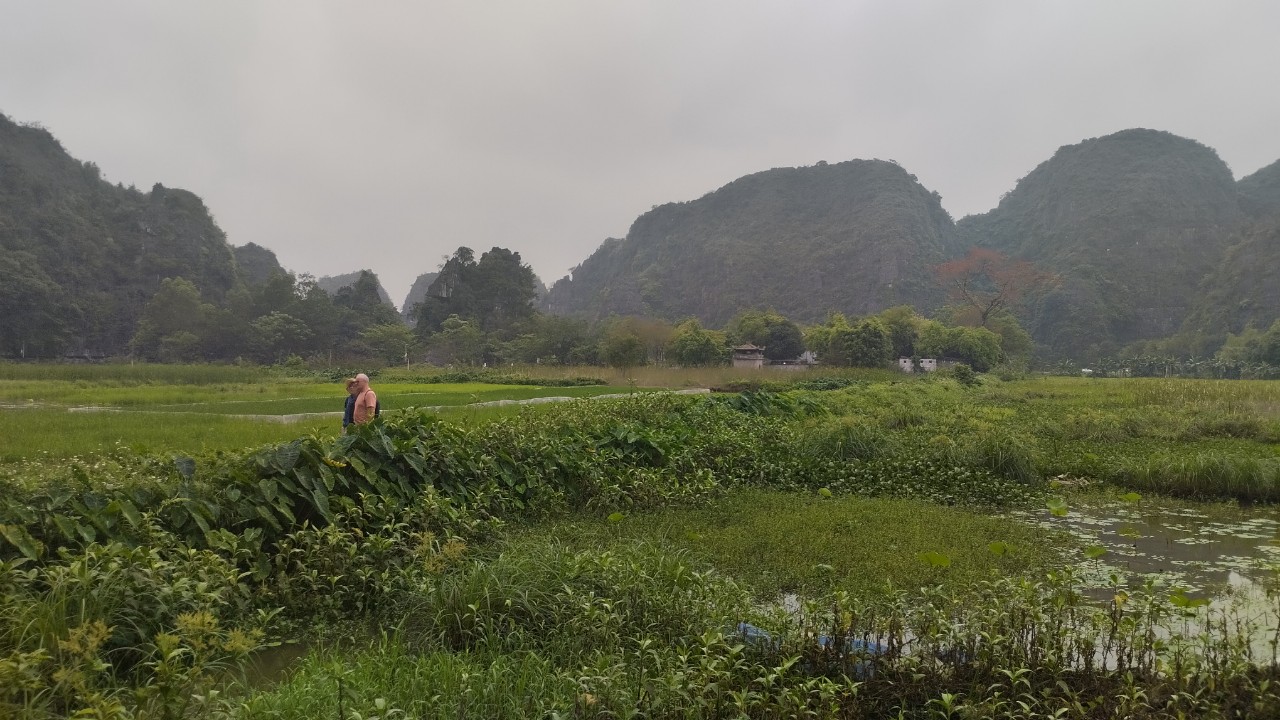 Ninh Binh landscape