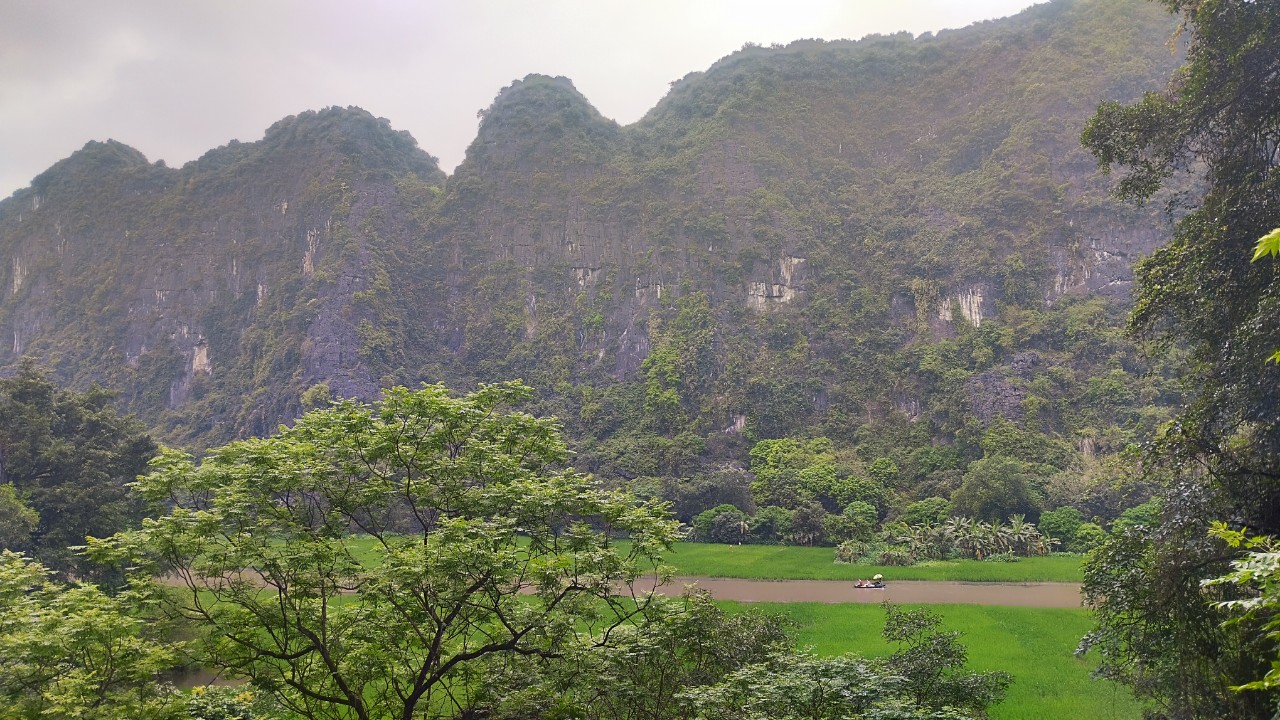 Thien Ha rice fields