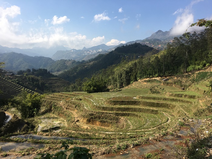 Sin Chai village - Sapa