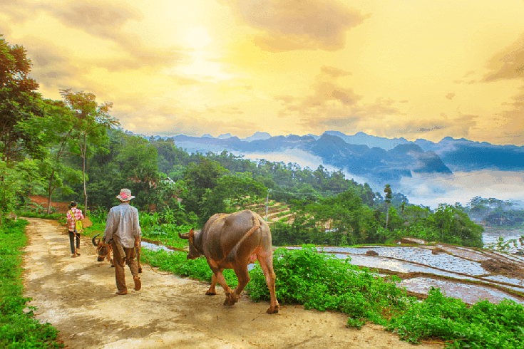 Pu Luong landscapes