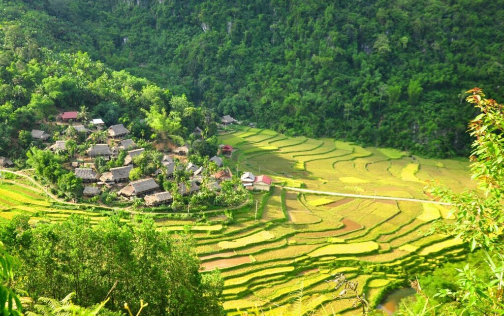 Into the Wild Pu Luong: 3-Day Trekking Escape Through Nature & Culture