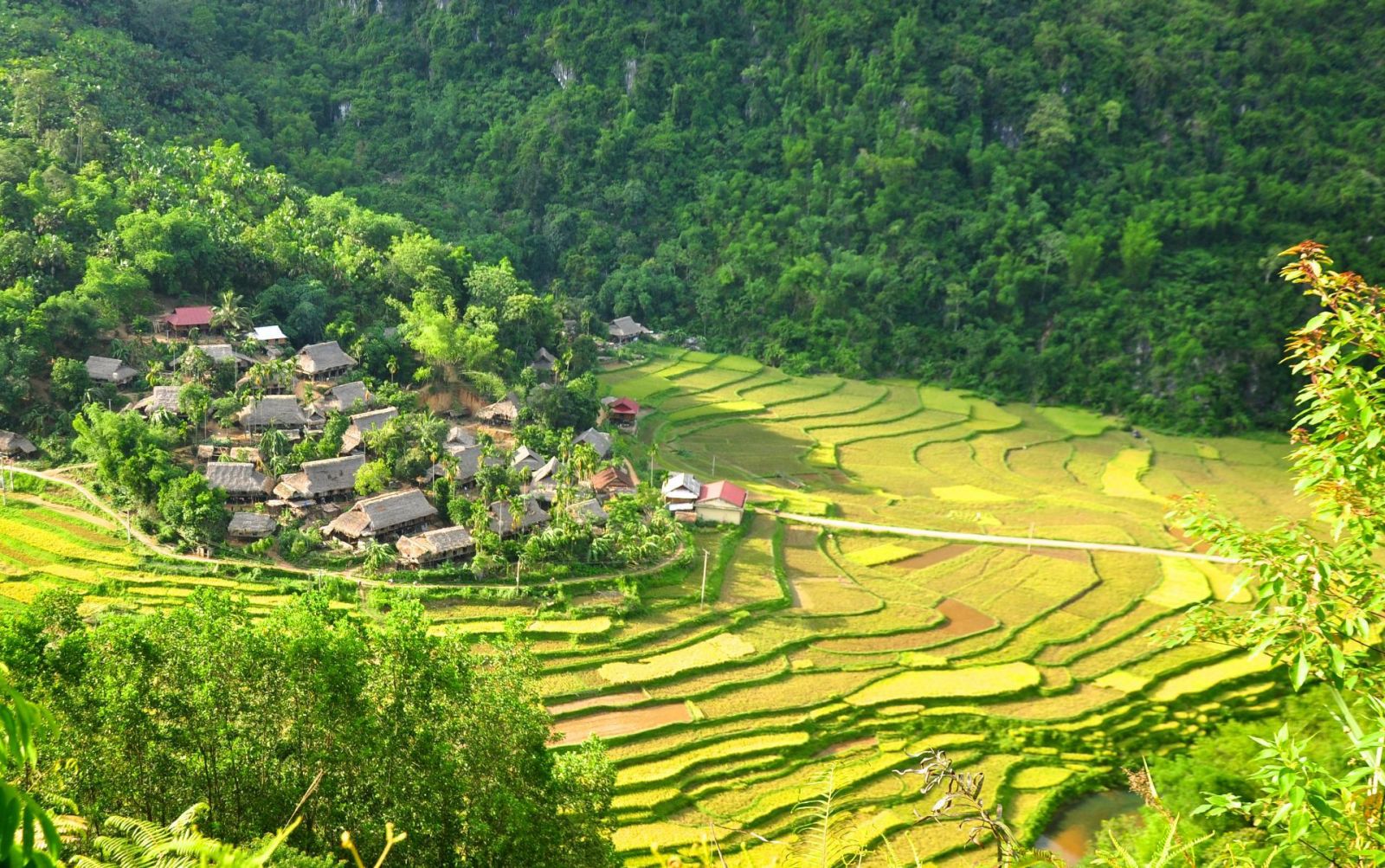Pu Luong