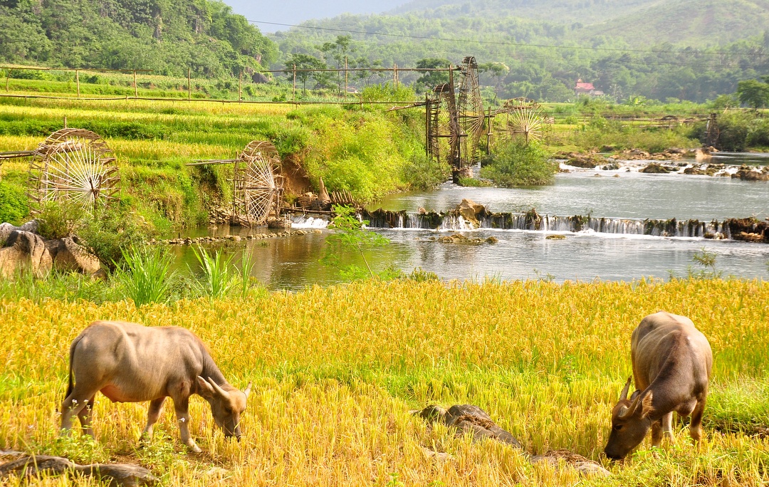 Pu Luong nature reserve